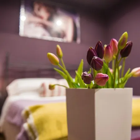Cik Diffuso 3* Veroli